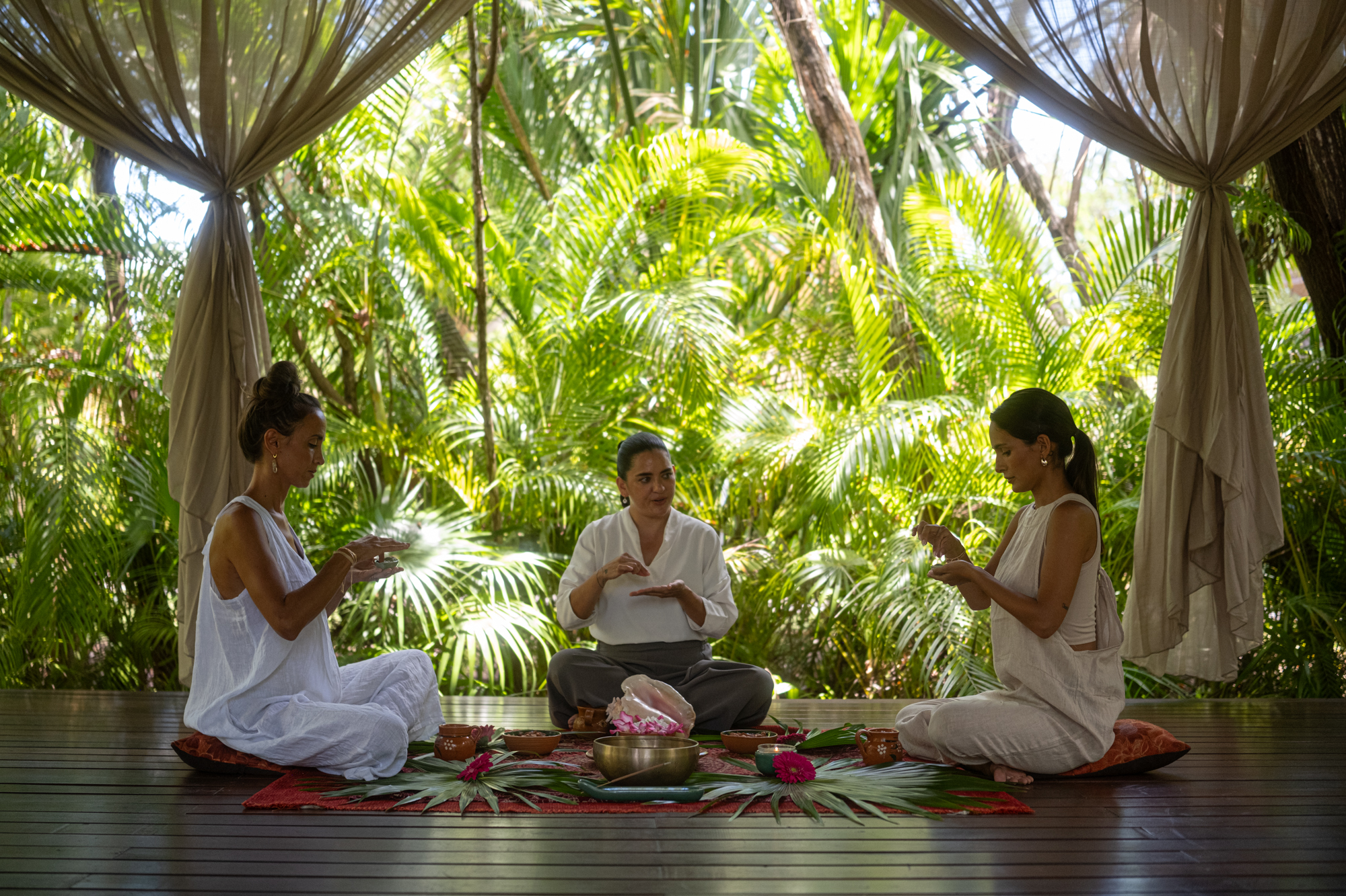 BTMXMY_BTCONNECTIONS_PROGRAMME_CACAO